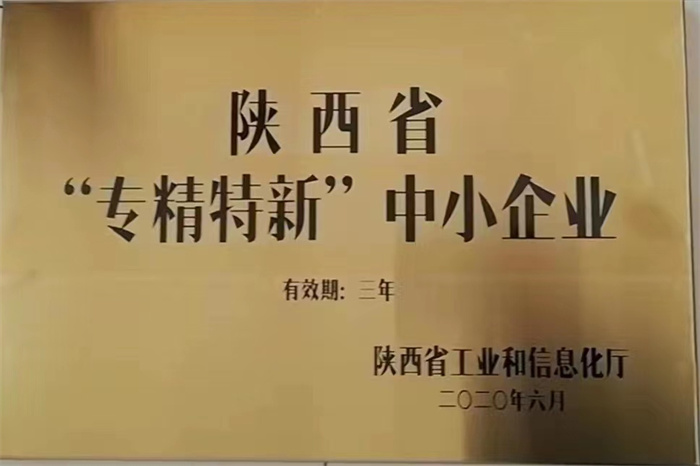 圖片6